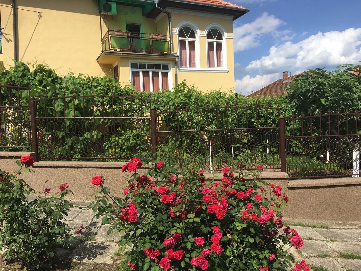 Vila Arjana Orşova Buitenkant foto